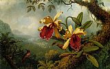 Martin Johnson Heade Famous Paintings - Orchids and Hummingbird